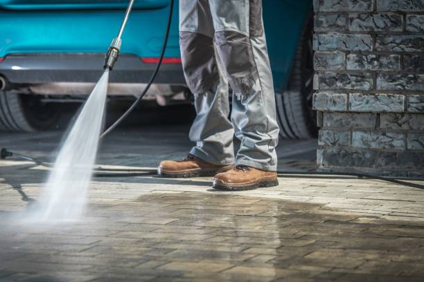Best Driveway Pressure Washing  in Adairsville, GA