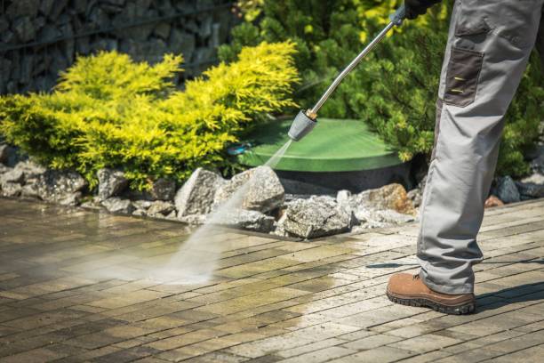 Best Gutter Cleaning  in Adairsville, GA