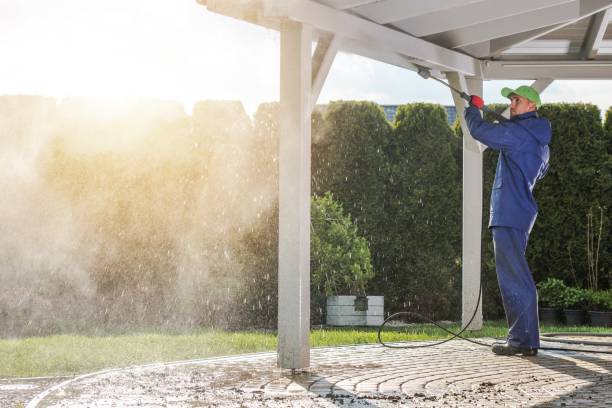 Best Roof Washing  in Adairsville, GA